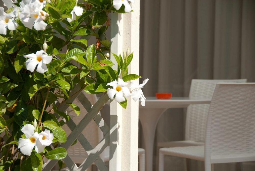 Il Marlo Suite & Breakfast Marina Di Carrara Eksteriør billede