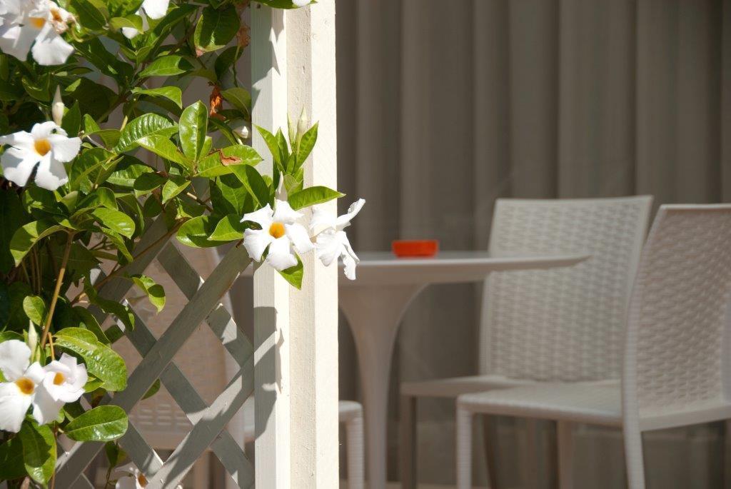 Il Marlo Suite & Breakfast Marina Di Carrara Eksteriør billede